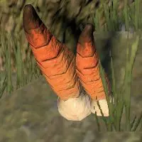 Profile picture of @Tavistock