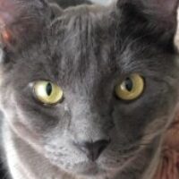 Profile picture of '@phtmsabr