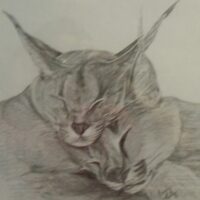 Profile picture of Taeve